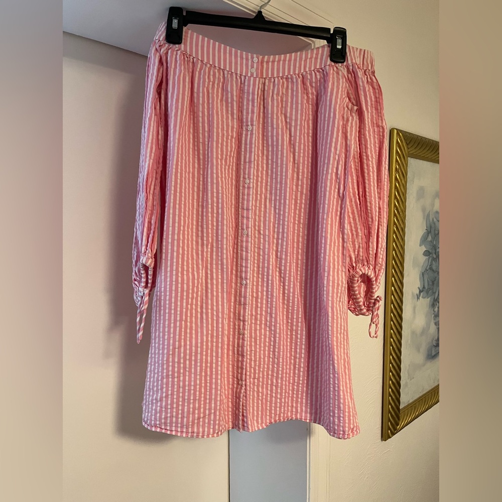 Zara Pink Seersucker Dress Size Small